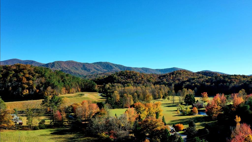 Lot 4 Gold Ridge Trail Cherry Log GA 30522