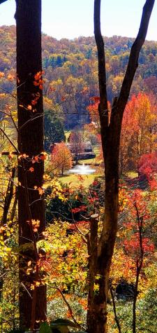 Lot 4 Gold Ridge Trail Cherry Log GA 30522