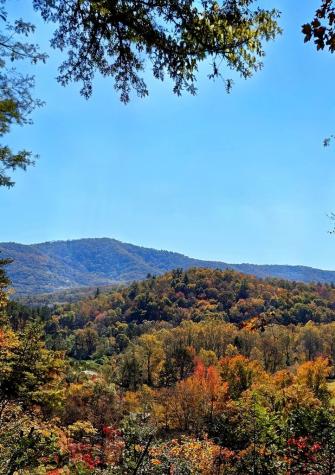 Lot 4 Gold Ridge Trail Cherry Log GA 30522