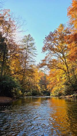 Lot 4 Gold Ridge Trail Cherry Log GA 30522