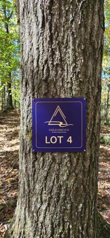 Lot 4 Gold Ridge Trail Cherry Log GA 30522