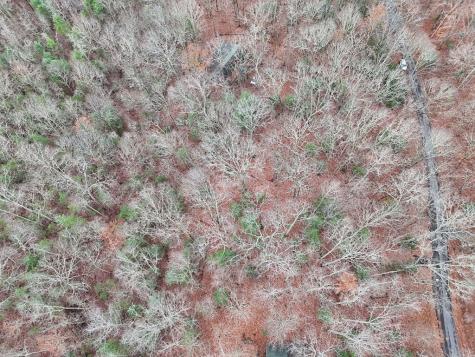 Tract 3 Wilmar Circle Blairsville GA 30512