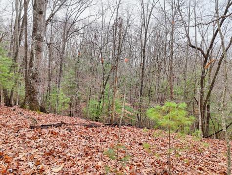 Tract 3 Wilmar Circle Blairsville GA 30512