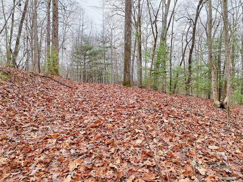 Tract 3 Wilmar Circle Blairsville GA 30512