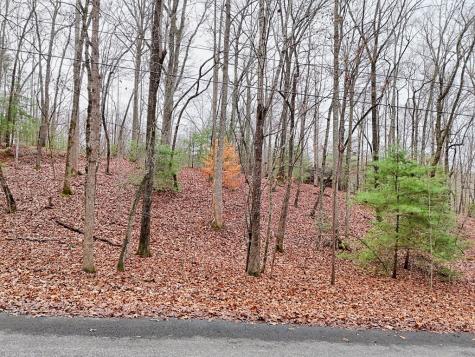 Tract 3 Wilmar Circle Blairsville GA 30512