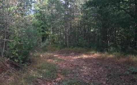 00 Highway 515 Talking Rock GA 30175