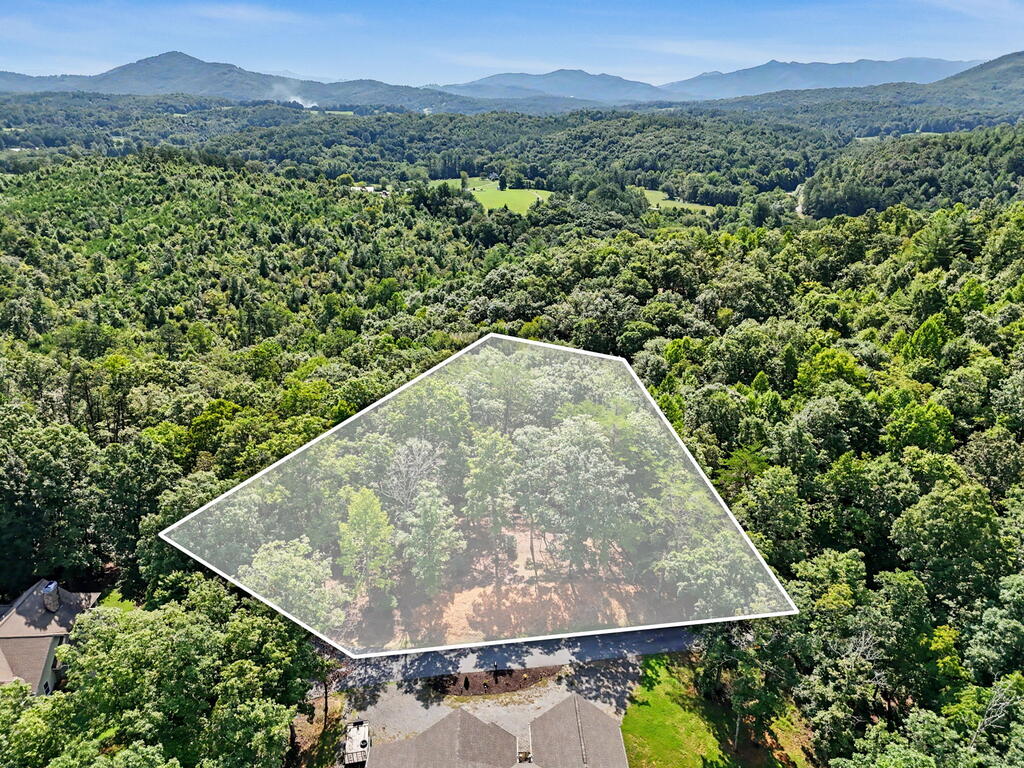 Lot 11 Brasstown Trail Warne NC 28909