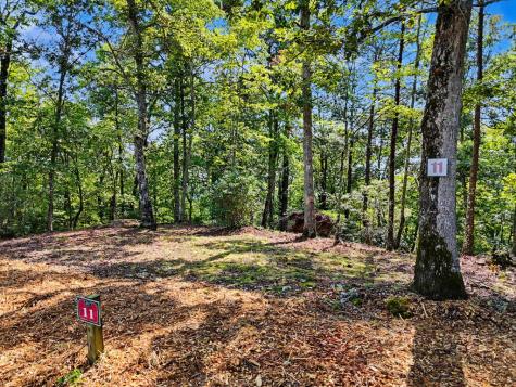 Lot 11 Brasstown Trail Warne NC 28909