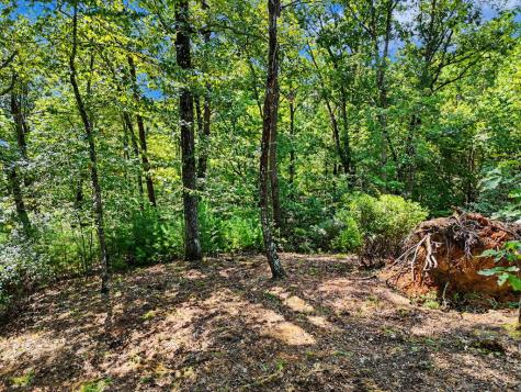 Lot 11 Brasstown Trail Warne NC 28909