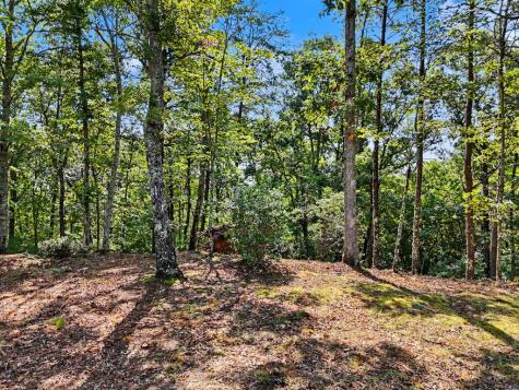 Lot 11 Brasstown Trail Warne NC 28909