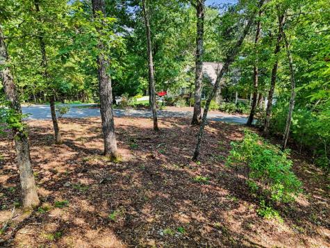 Lot 11 Brasstown Trail Warne NC 28909
