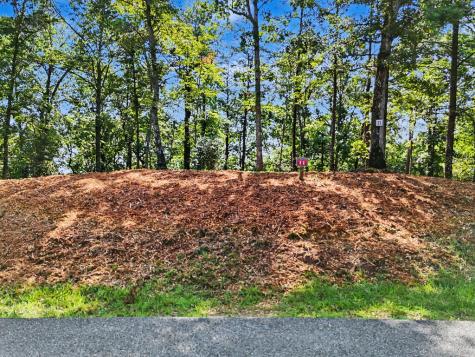 Lot 11 Brasstown Trail Warne NC 28909