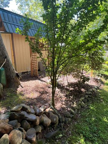 304 Choestoe Valley Lane Blairsville GA 30514