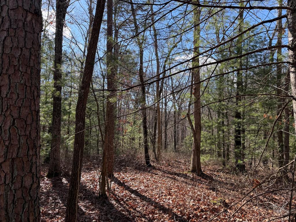 Lot 20 Yellow Maple Lane Murphy NC 28906
