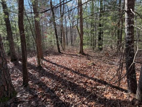 Lot 20 Yellow Maple Lane Murphy NC 28906