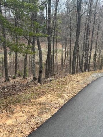 Lot 195 Trails End Way Mineral Bluff GA 30559