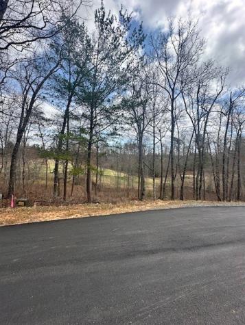 Lot 195 Trails End Way Mineral Bluff GA 30559