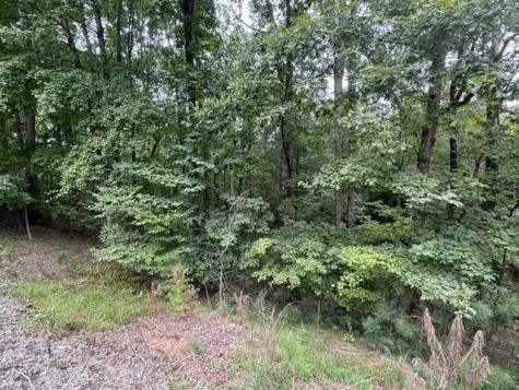 L811 Myna Drive Ellijay GA 30540