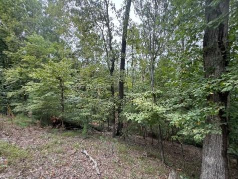 L811 Myna Drive Ellijay GA 30540