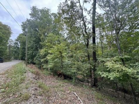 L811 Myna Drive Ellijay GA 30540