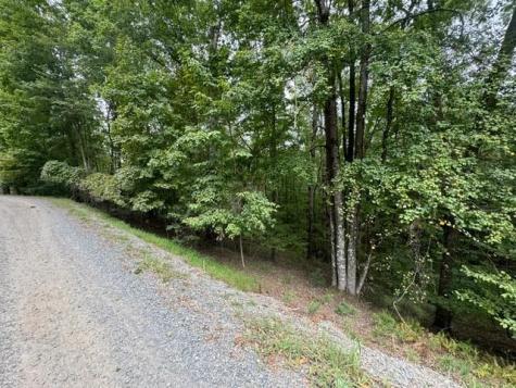 L811 Myna Drive Ellijay GA 30540