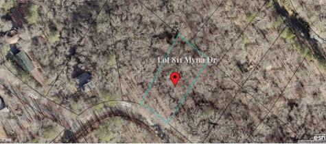 L811 Myna Drive Ellijay GA 30540