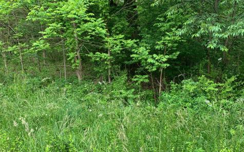 939 Billy Lane Hiawassee GA 30546