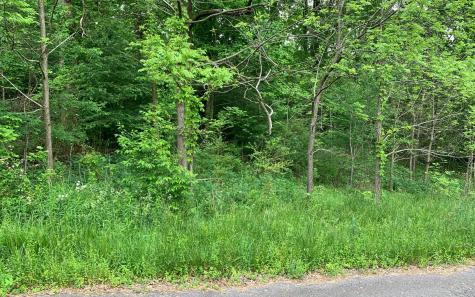 939 Billy Lane Hiawassee GA 30546