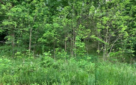 939 Billy Lane Hiawassee GA 30546