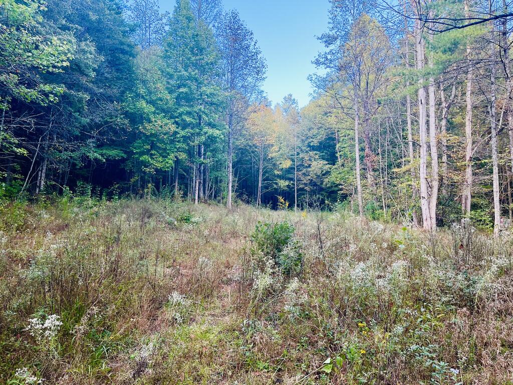 1798 Flea Mountain Road Murphy NC 28906