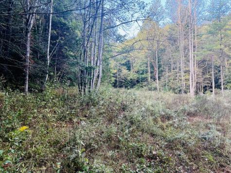 1798 Flea Mountain Road Murphy NC 28906