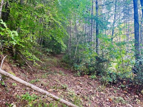 1798 Flea Mountain Road Murphy NC 28906