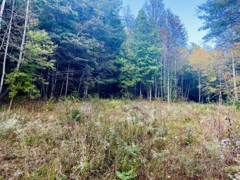 1798 Flea Mountain Road Murphy NC 28906
