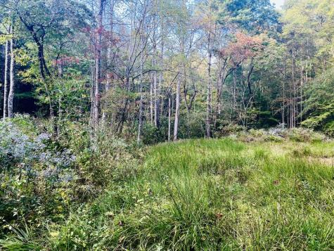 1798 Flea Mountain Road Murphy NC 28906