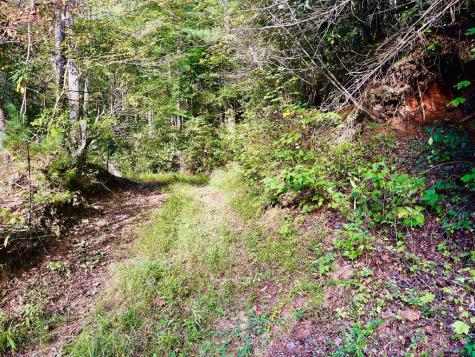 1798 Flea Mountain Road Murphy NC 28906