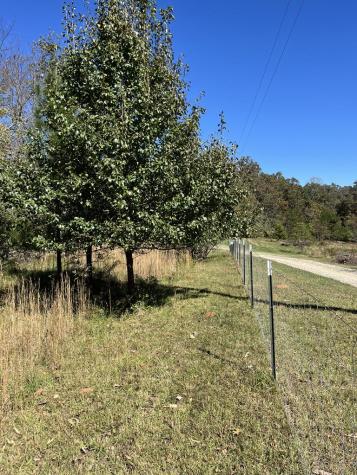 Lot 41 Crestwood Drive Blairsville GA 30512