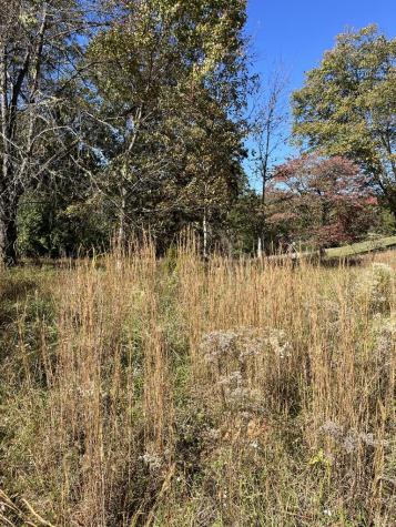 Lot 41 Crestwood Drive Blairsville GA 30512