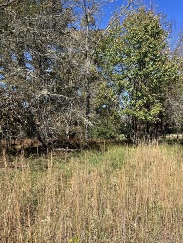 Lot 41 Crestwood Drive Blairsville GA 30512