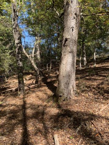 Lot 41 Crestwood Drive Blairsville GA 30512
