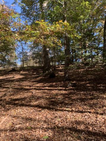 Lot 41 Crestwood Drive Blairsville GA 30512