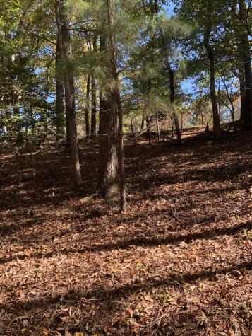 Lot 41 Crestwood Drive Blairsville GA 30512