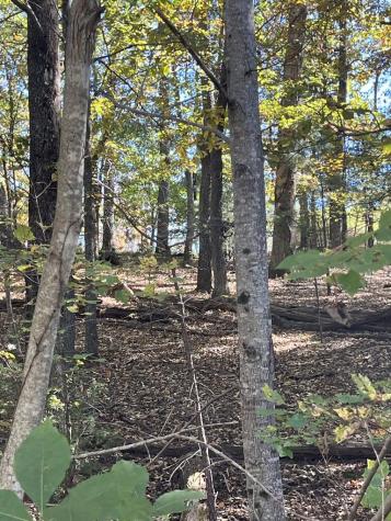 Lot 41 Crestwood Drive Blairsville GA 30512