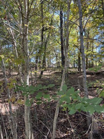 Lot 41 Crestwood Drive Blairsville GA 30512