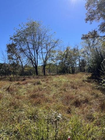 Lot 41 Crestwood Drive Blairsville GA 30512