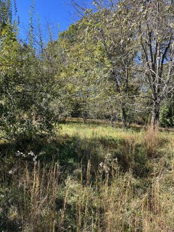 Lot 41 Crestwood Drive Blairsville GA 30512