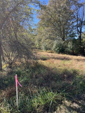 Lot 41 Crestwood Drive Blairsville GA 30512