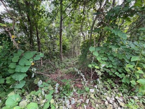 Lot 12 Forest View Drive Hiawassee GA 30546