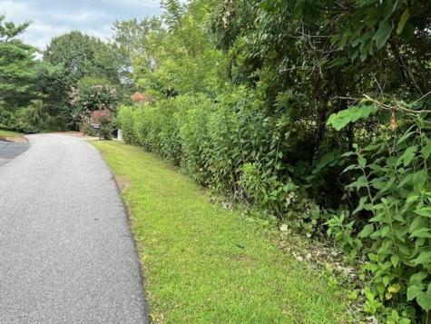 Lot 12 Forest View Drive Hiawassee GA 30546