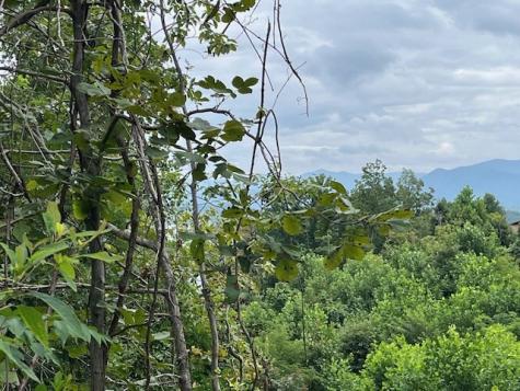 Lot 12 Forest View Drive Hiawassee GA 30546