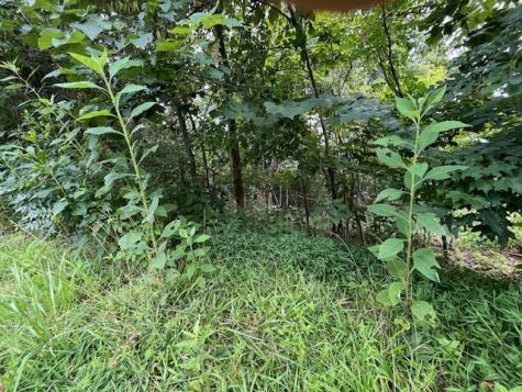 Lot 12 Forest View Drive Hiawassee GA 30546